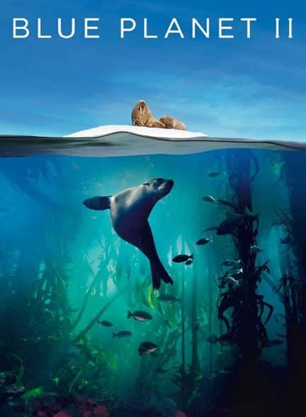 دانلود مستند Blue Planet II