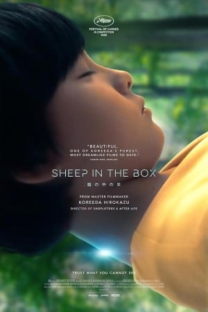 دانلود فیلم Sheep in the Box 2026