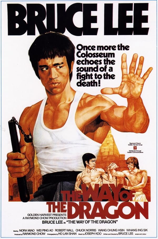 دانلود فیلم The Way of the Dragon 1972 - اصل موویز